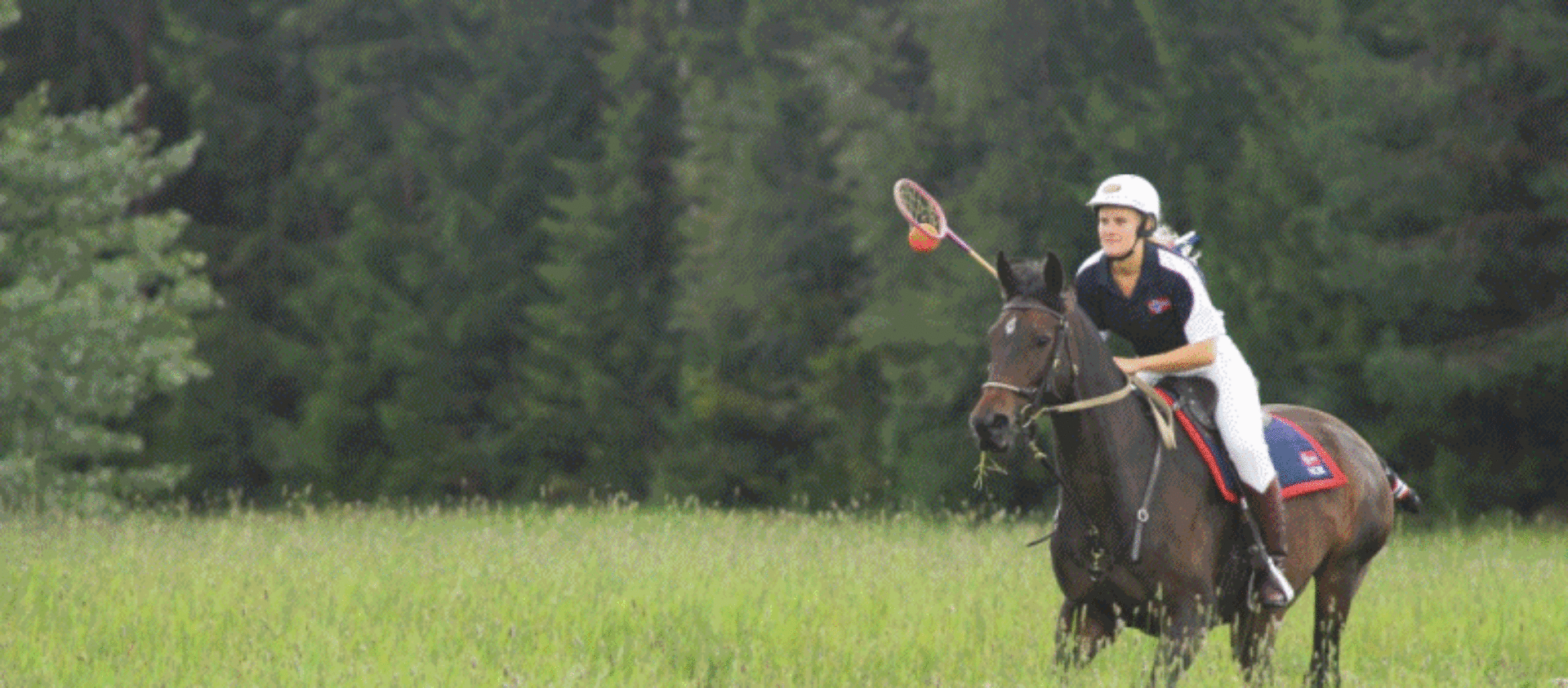 Norges Polocrosseforbund